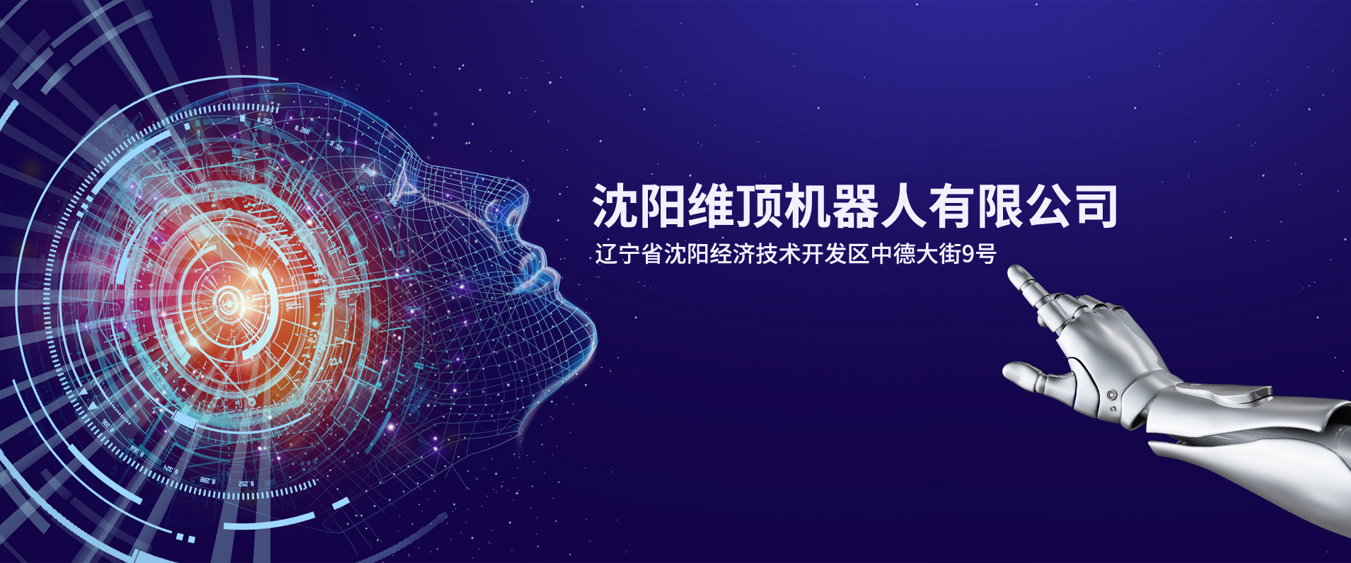 沈阳乐虎lehu88机器人有限公司
